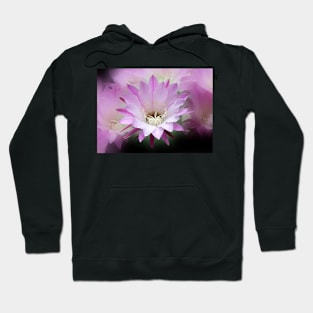 Pink Cactus Flower in the Rain #2 Hoodie